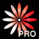 WomanLog Pro Calendar