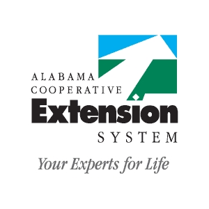 Food Safety, Preparation, and Preservation